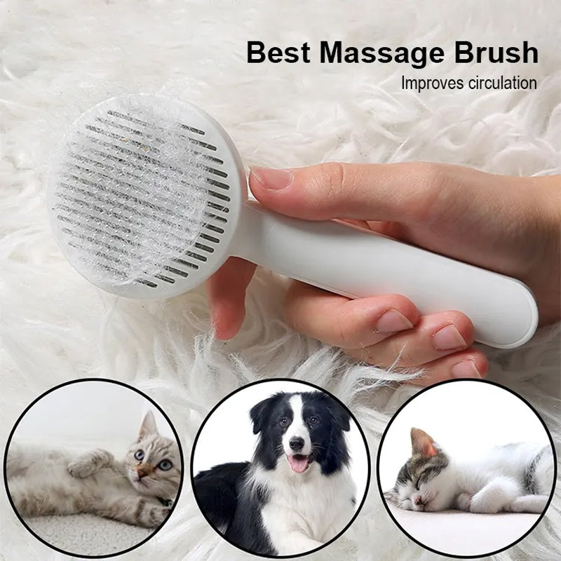 The Self Cleaning Brush