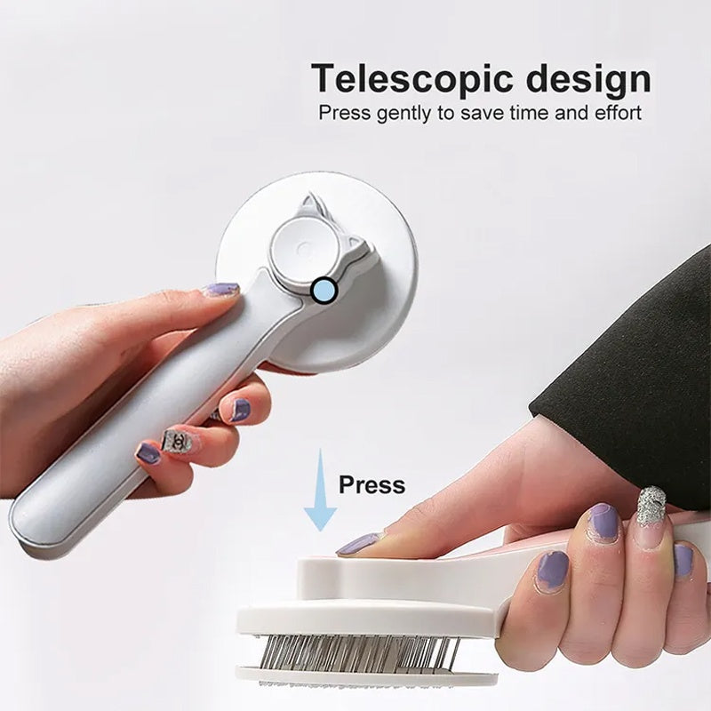 The Self Cleaning Brush