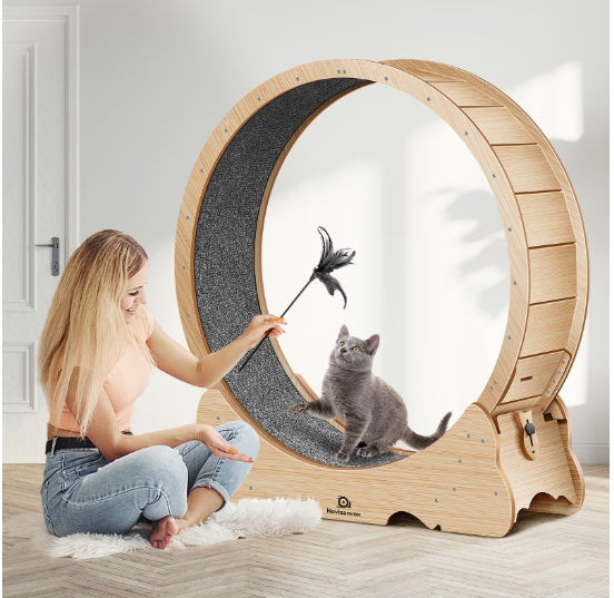 Kitty Wheelz