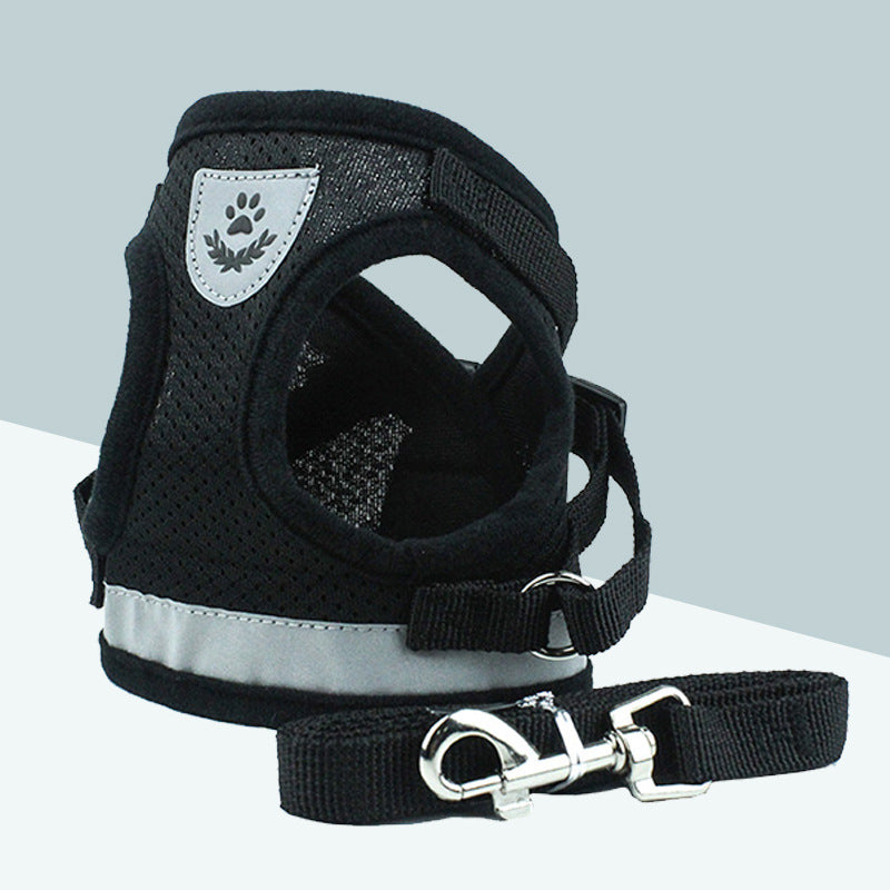 Kitty Leash