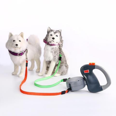 Tangle Free Leash