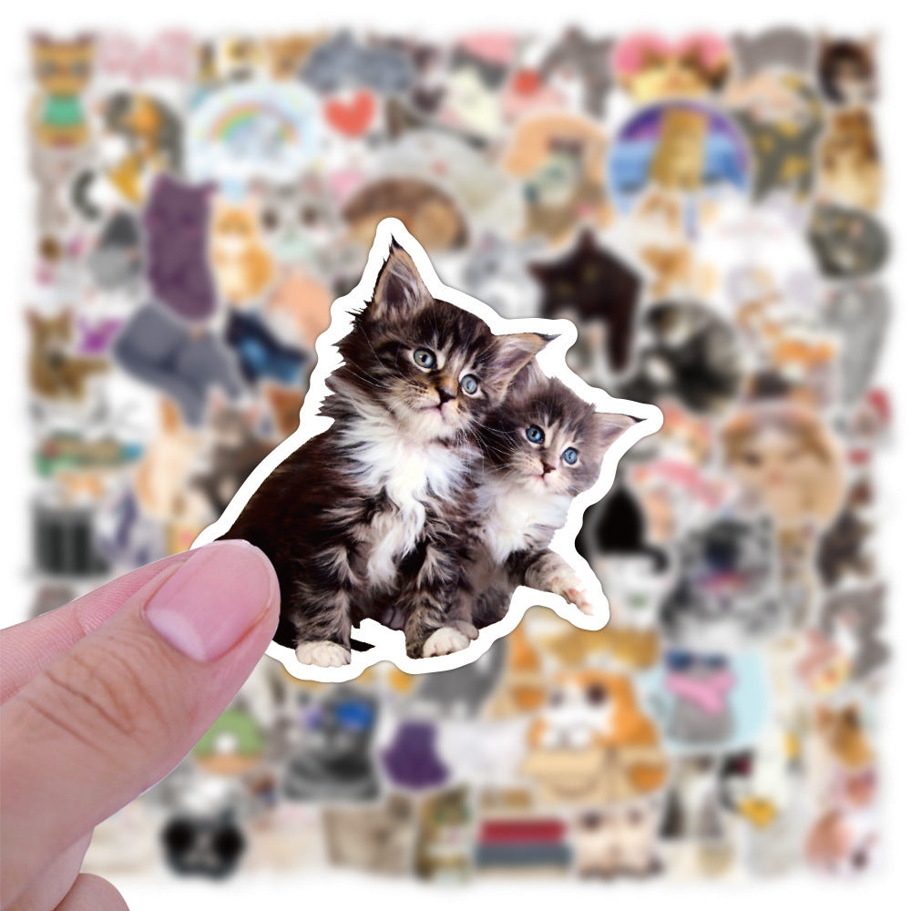100 Cute kitty Stickers