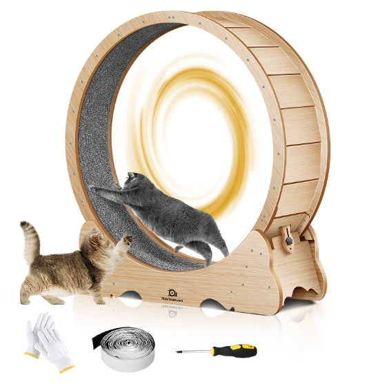 Kitty Wheelz