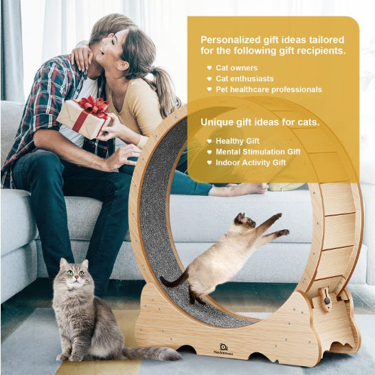 Kitty Wheelz