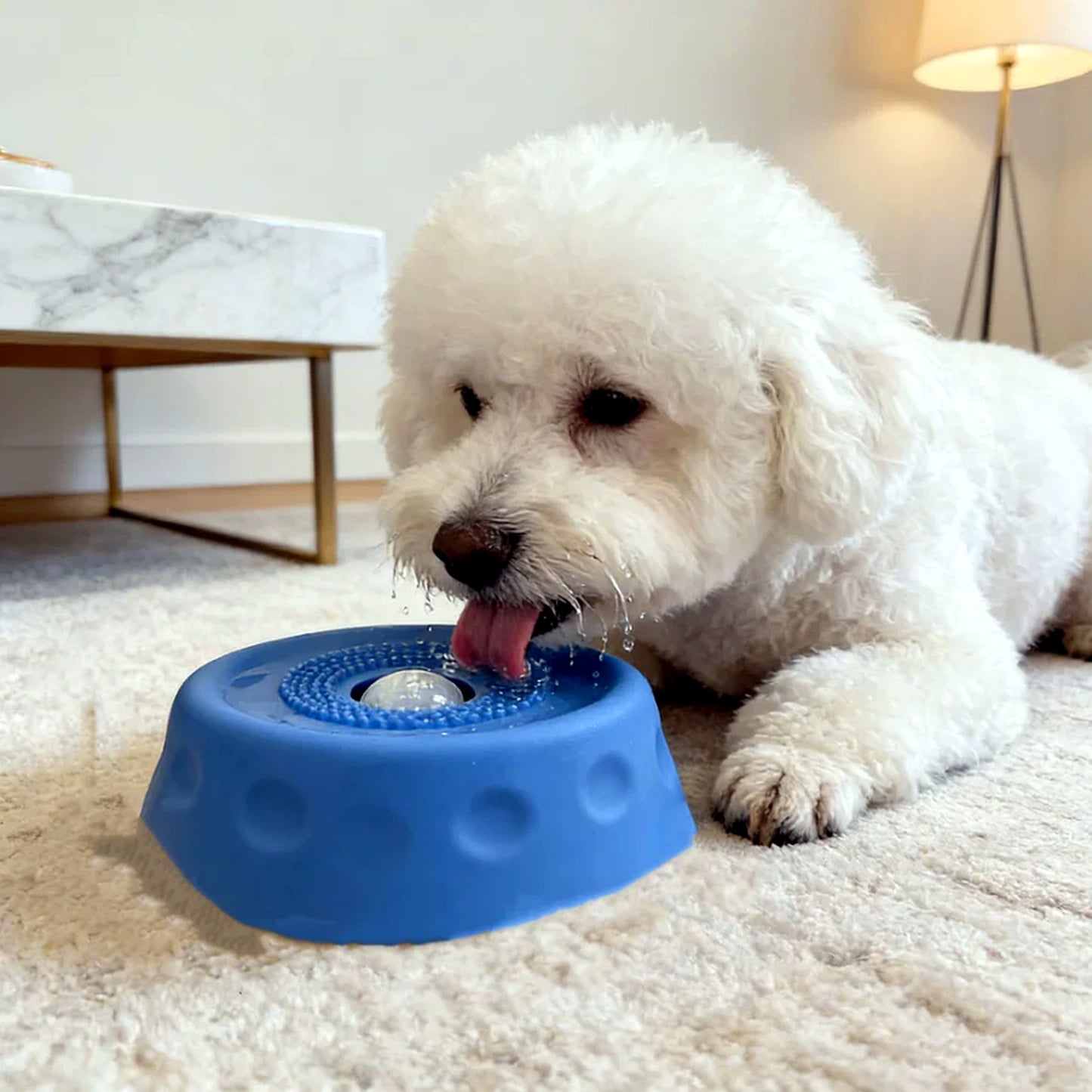 Margaret's Lick & Roll™ Enrichment Bowl