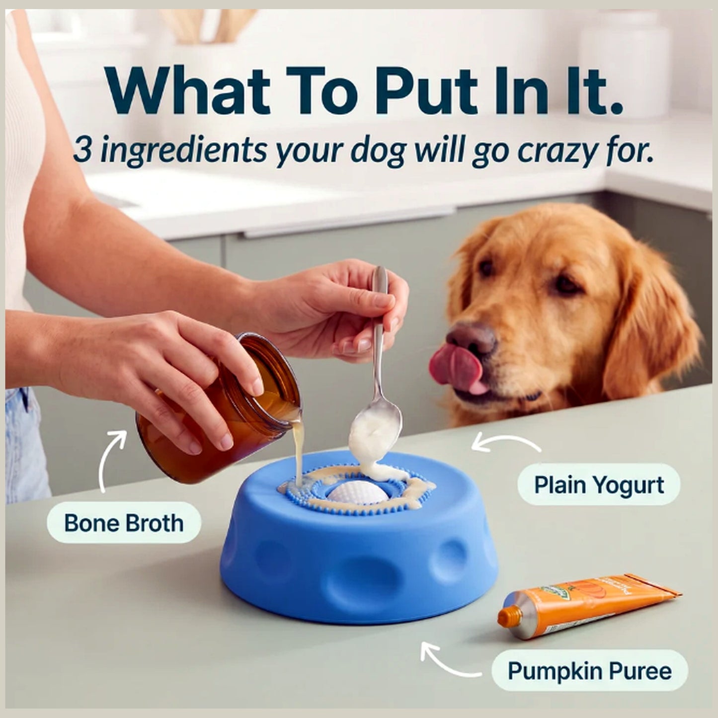 Margaret's Lick & Roll™ Enrichment Bowl