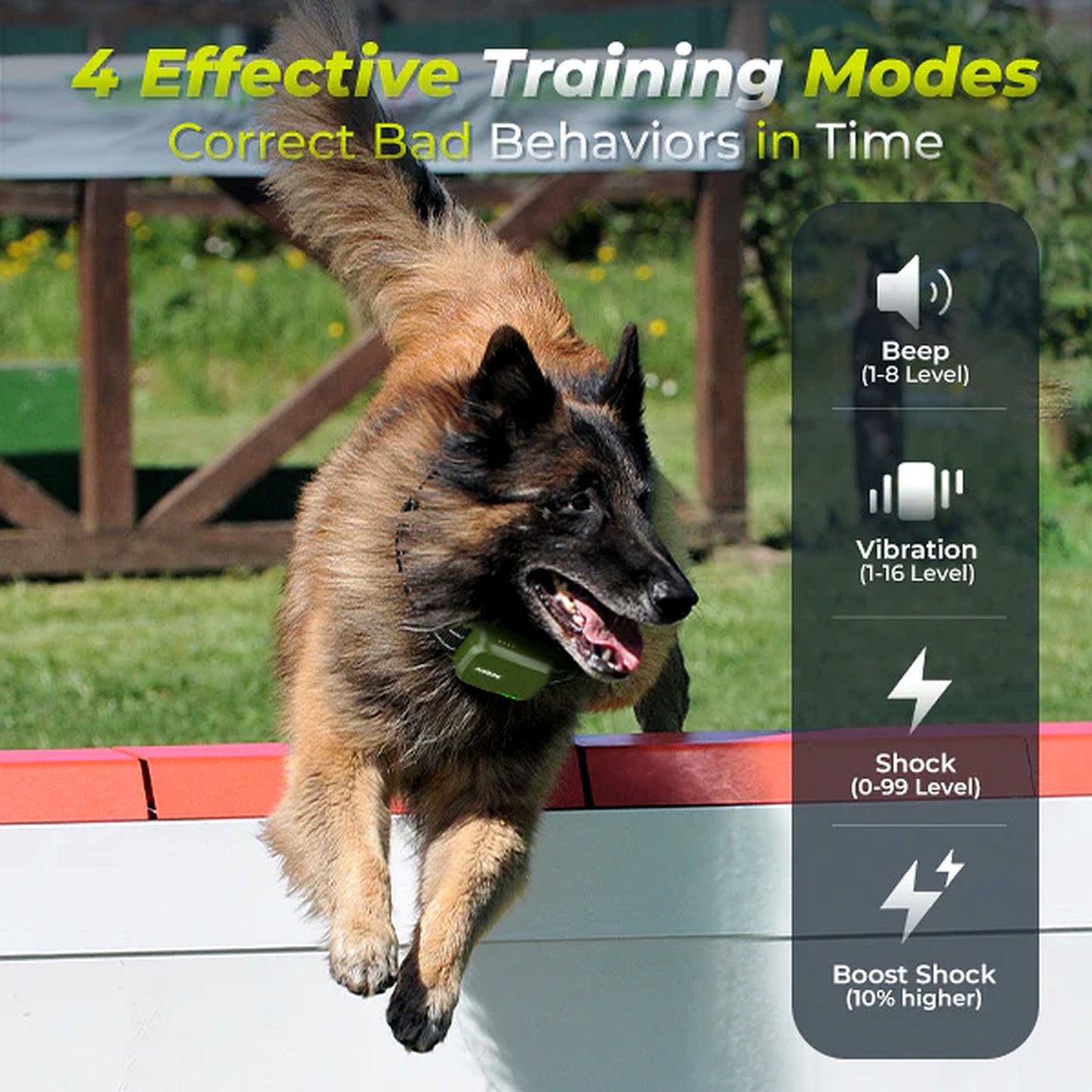 Margaret’s Remote Dog Training & Anti-Bark Collar