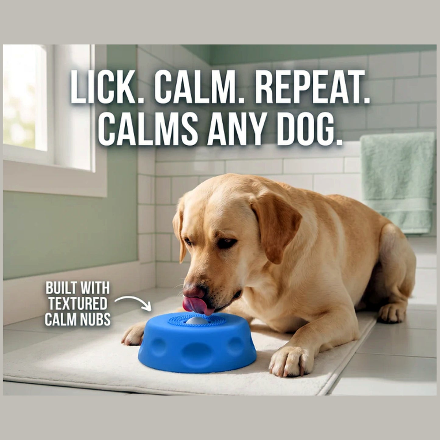 Margaret's Lick & Roll™ Enrichment Bowl