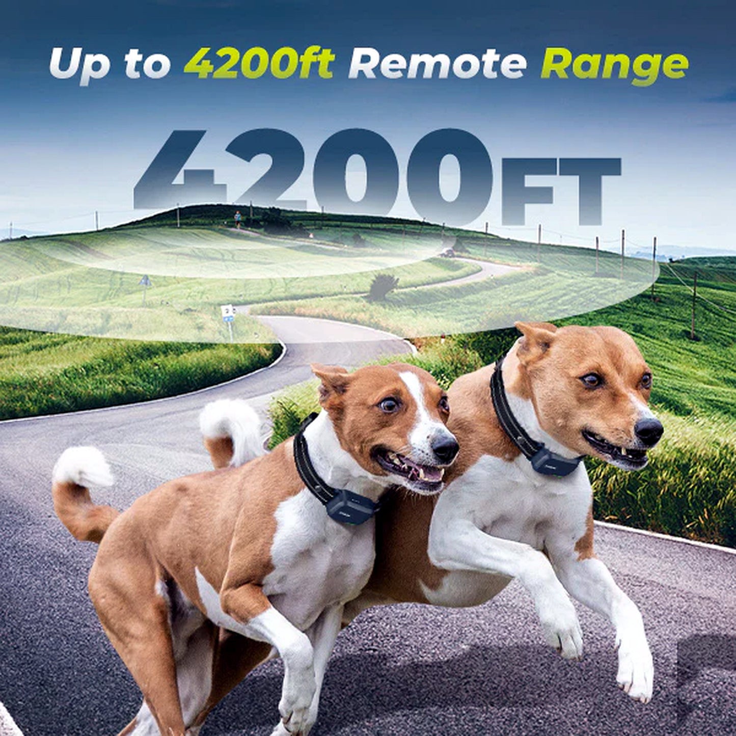 Margaret’s Remote Dog Training & Anti-Bark Collar