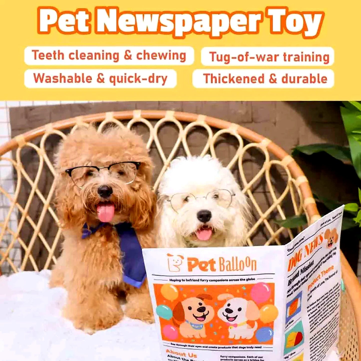 Margaret's Pawspaper Crinkle Dog Toy