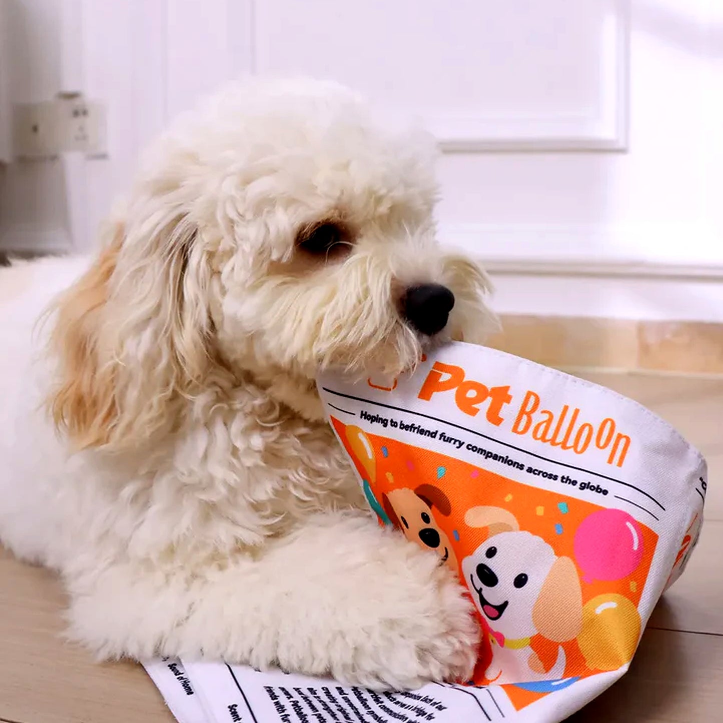 Margaret's Pawspaper Crinkle Dog Toy
