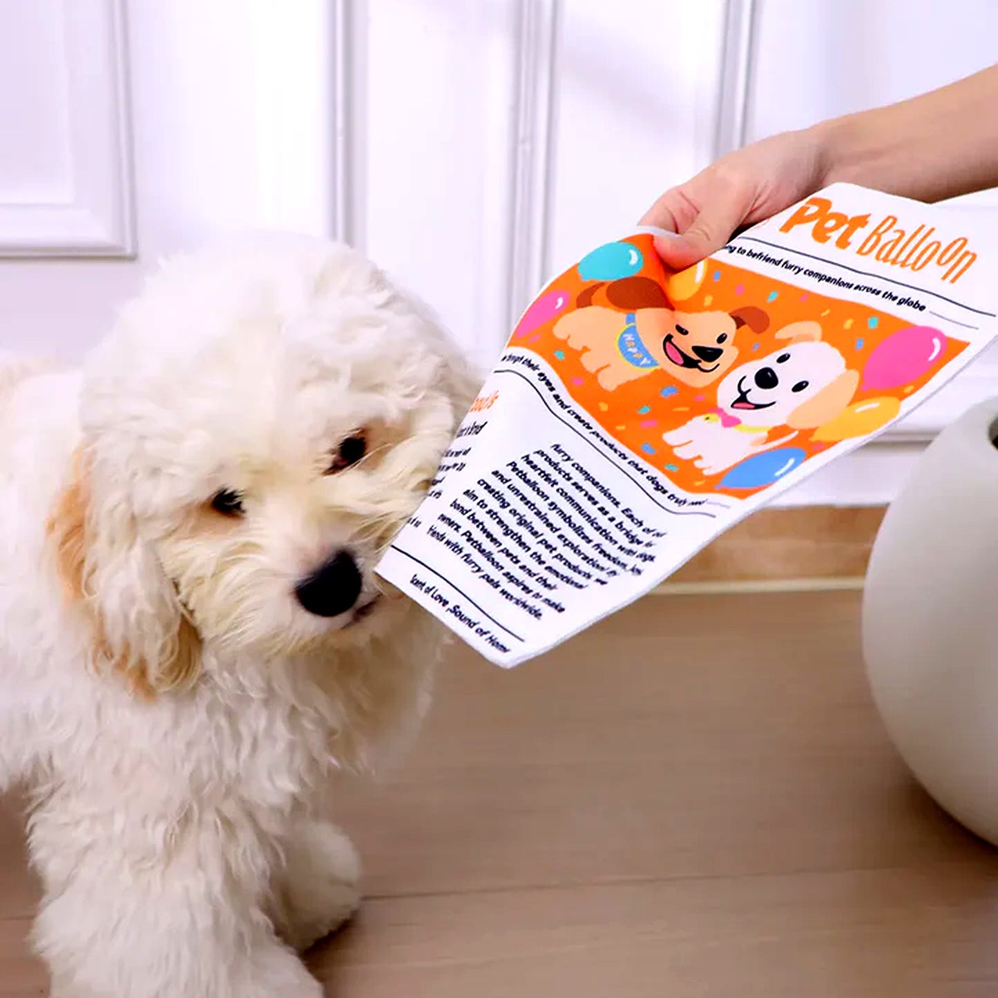 Margaret's Pawspaper Crinkle Dog Toy