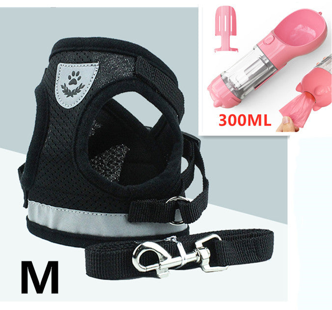 Kitty Leash