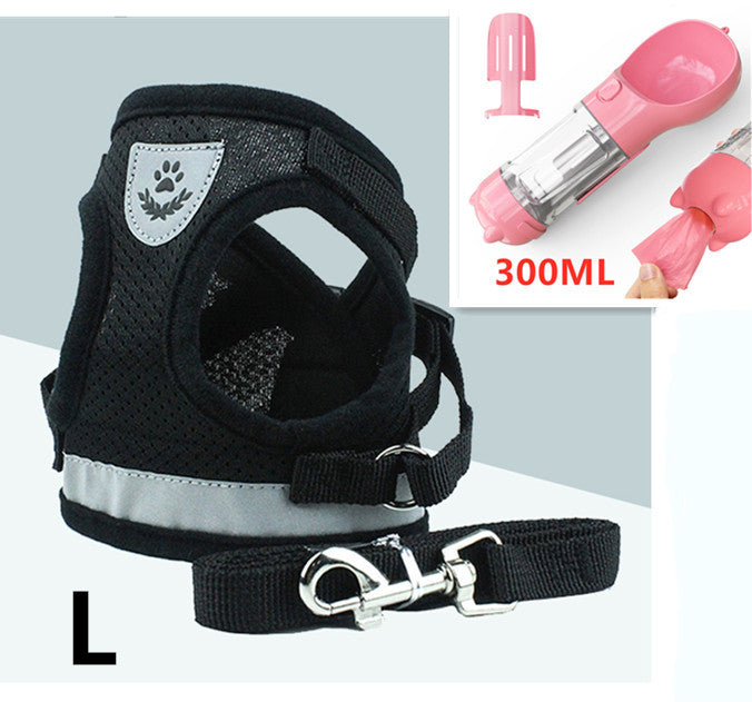 Kitty Leash