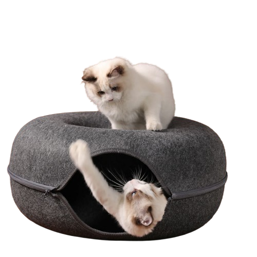 Kitty Napz