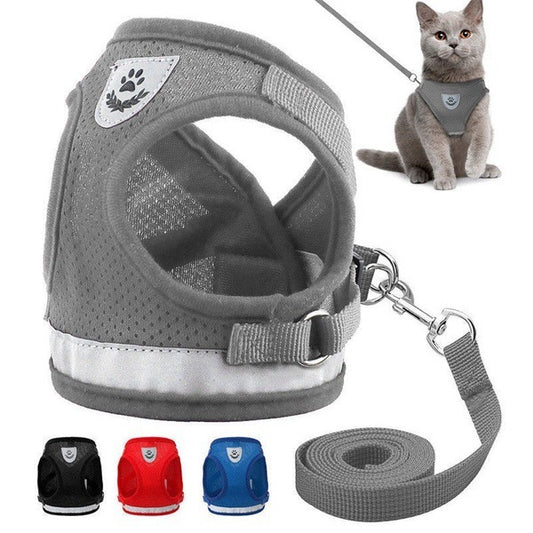 Kitty Leash