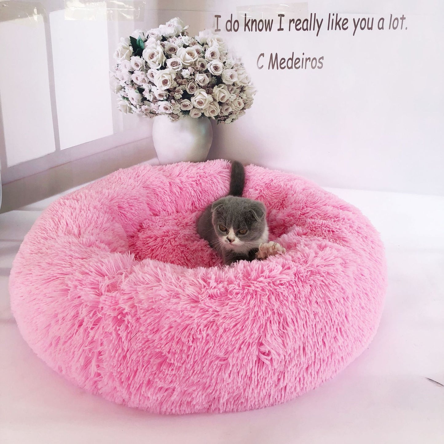 The Zen Nest