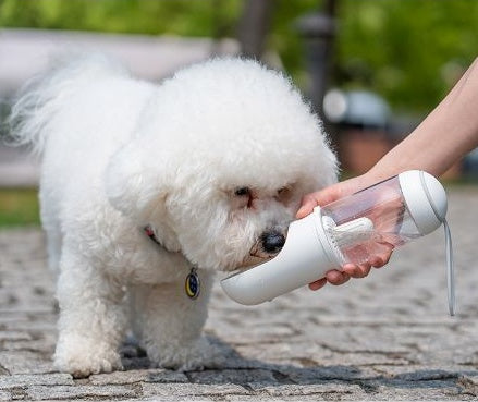 2 in 1 Outdoor Bottle